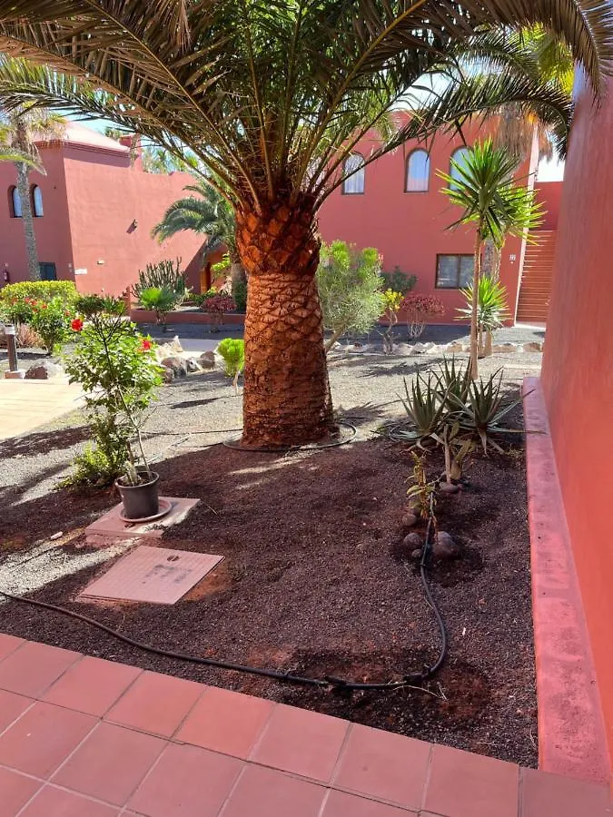 Casa Mimi Oasis Tamarindo Apartment Corralejo Spain